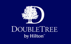 black car service to DoubleTree by Hilton Rochester rochester mn